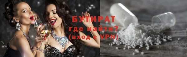 шишки Апатиты