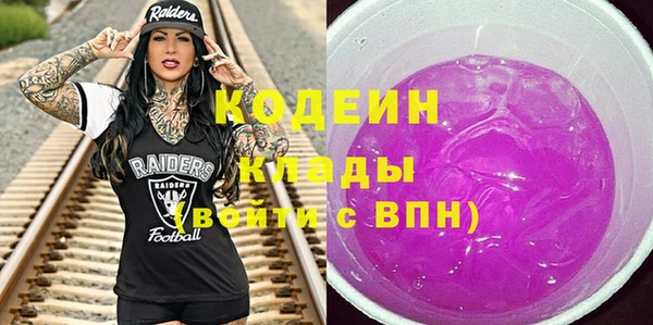 гашик Нея