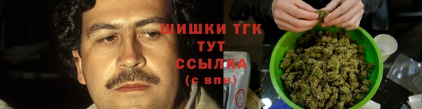 гашик Нея