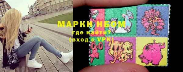 гашик Нея