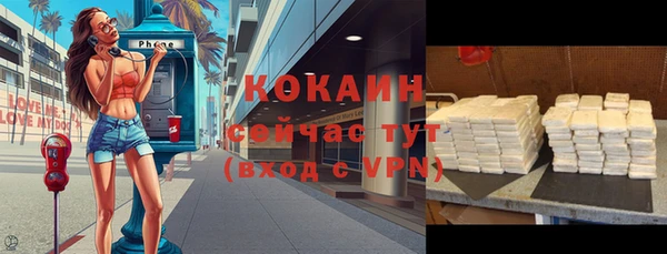 гашик Нея